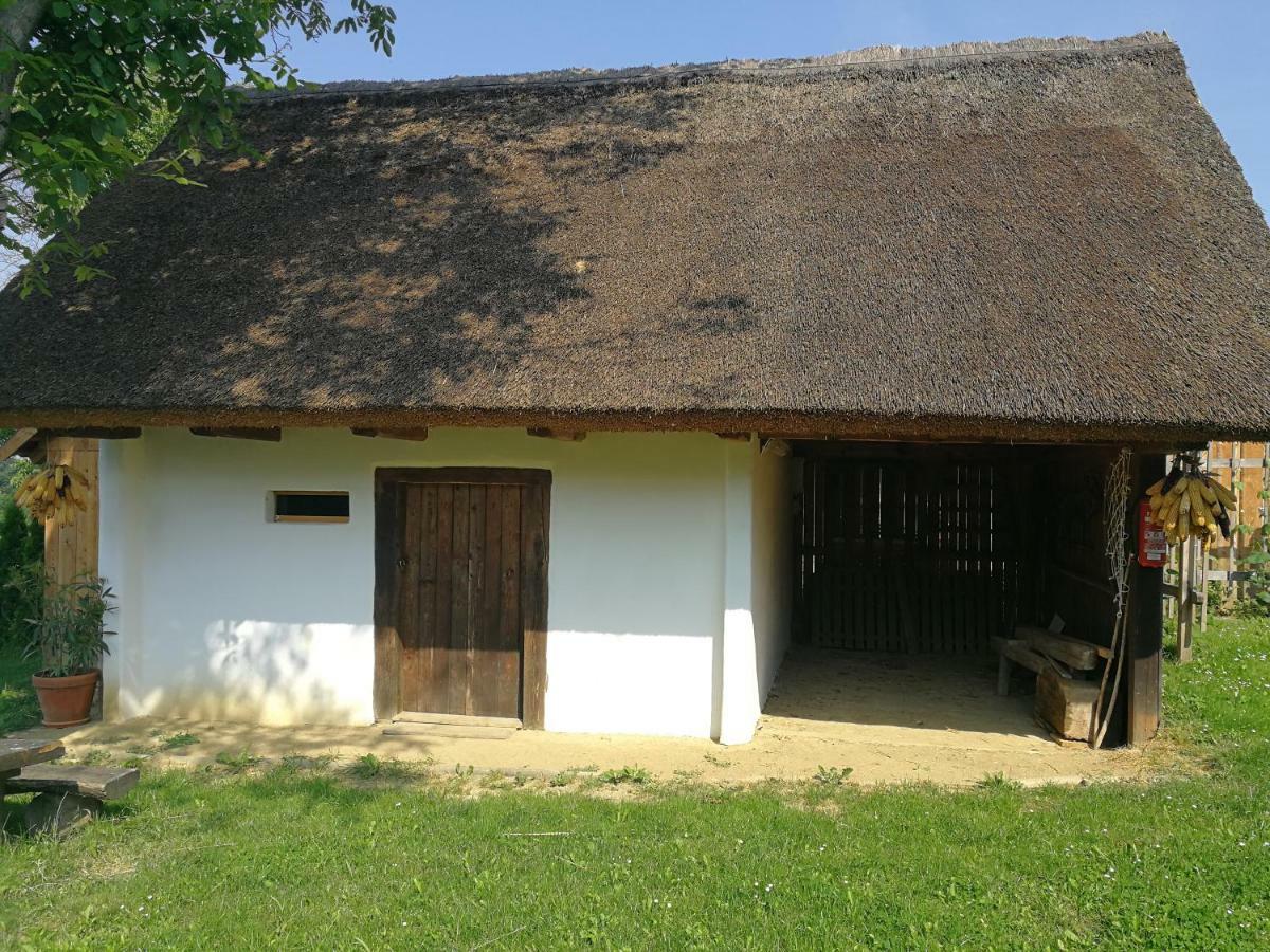 Hrgova Hiska Casa de hóspedes Ptuj Exterior foto