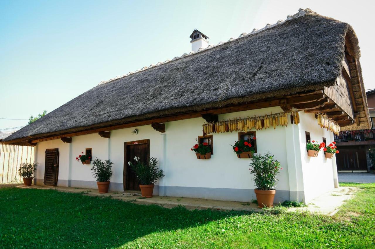 Hrgova Hiska Casa de hóspedes Ptuj Exterior foto